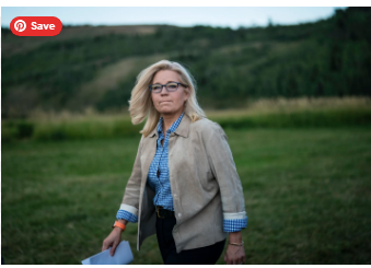 Liz Cheney Age, Net Worth, Family, Career ,height and weight 2025